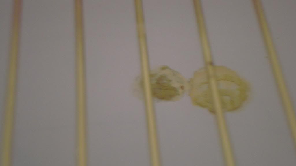 DSC01989_zps37f6508d.jpg