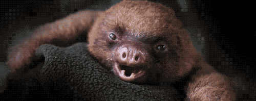 tumblr_mgt9sm5YGf1rkfhnuo1_500_zps26db0acf.gif
