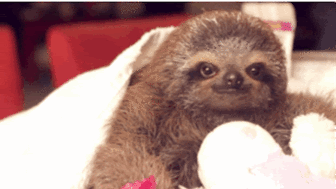 tumblr_mijiizbzOQ1rs11h0o2_400_zps62e26364.gif