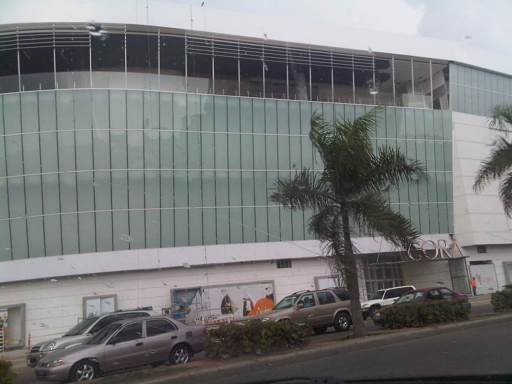 IMG03090-20120717-1622.jpg
