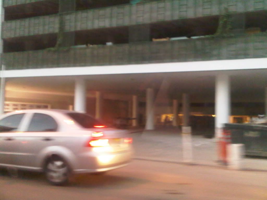 IMG03099-20120717-1924.jpg