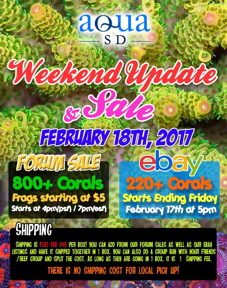 Weekend-Sale-02-18-17_zps4wyvhcsk.jpg
