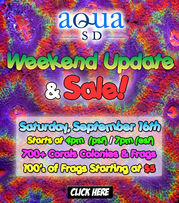 Weekend-Sale-09-16-17_zpsnms9ihpa.jpg