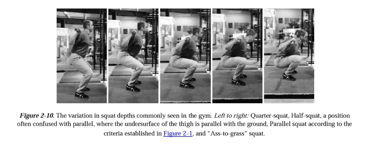 starting strength mark rippetoe 3rd edition pdf