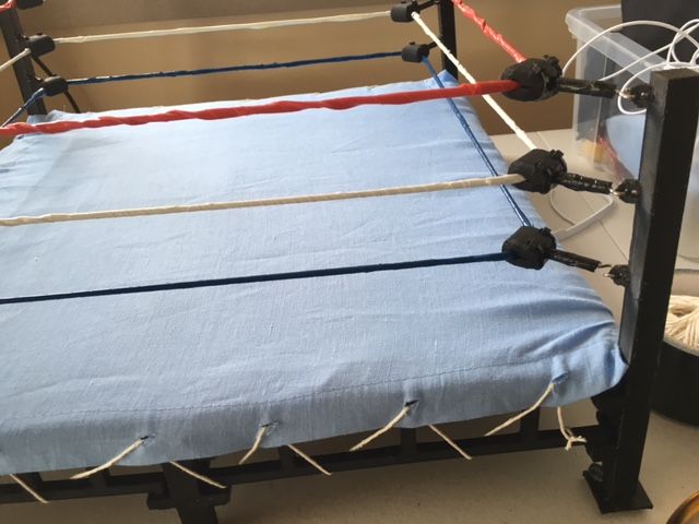 Completely custom wrestling ring - 3D Printed kit ...