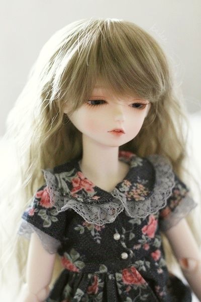 photo IMG_3430_zpsb305d373.jpg