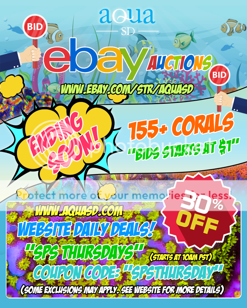 Ebay-08-22-19_zpspraccv94.png