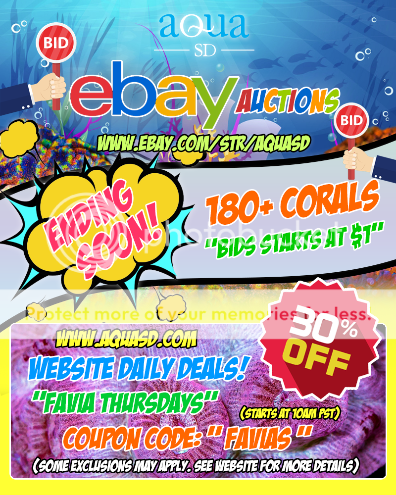 Ebay-09-05-19_zpsagg5wcwr.png