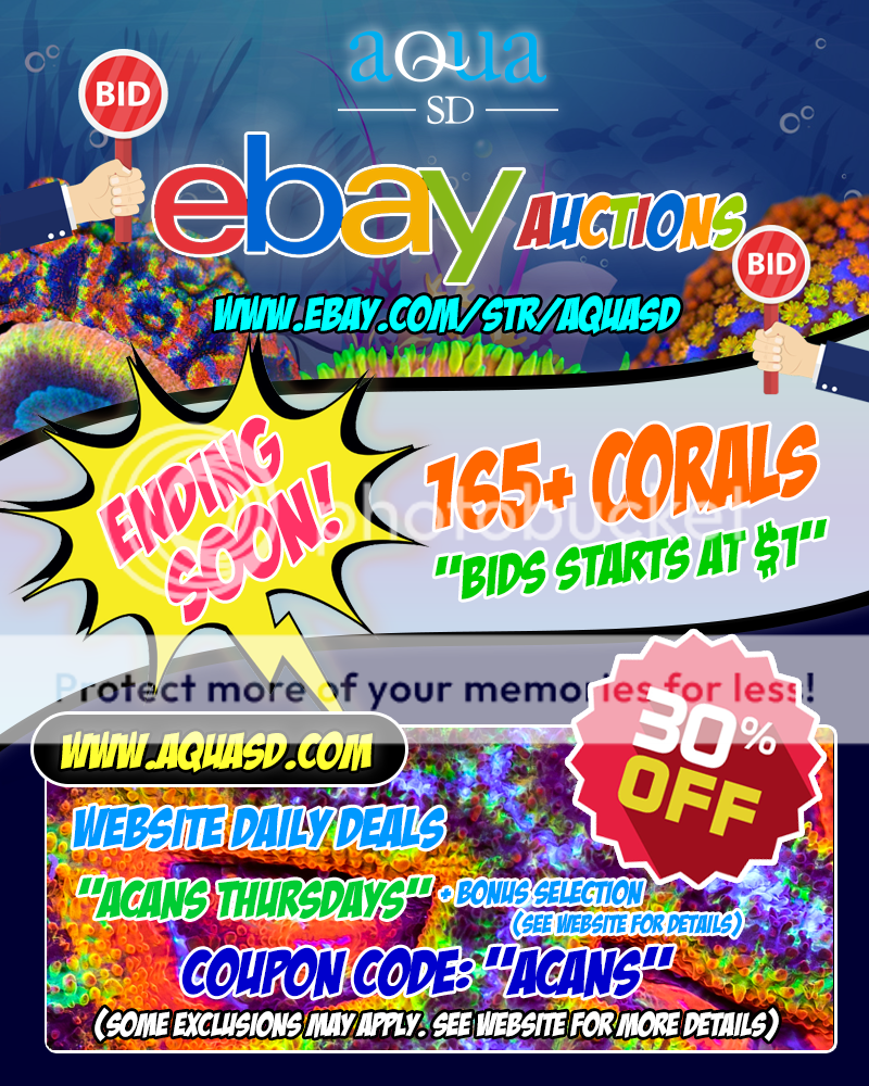 Ebay-09-19-19_zps36gwcnel.png