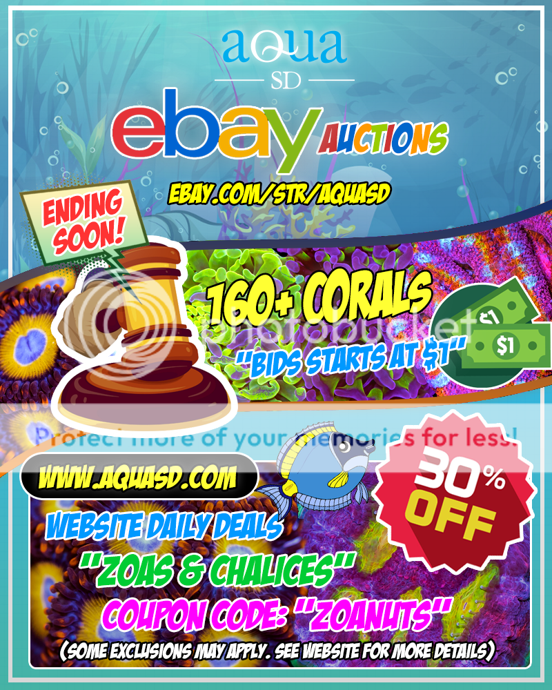 Ebay-10-31-19_zpsqhf24aby.png