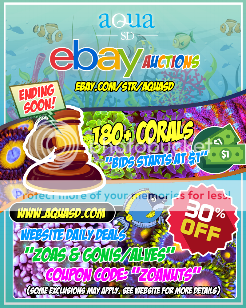 Ebay-11-07-19_zpsmnj2cdqm.png