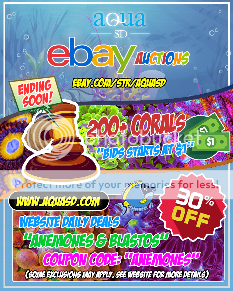 Ebay-11-13-19_zpsykae3wff.png