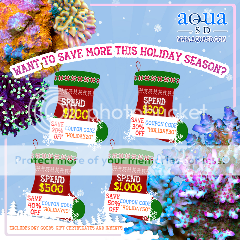 Holiday-Sale-Ad2_zps6bzgwxh1.png