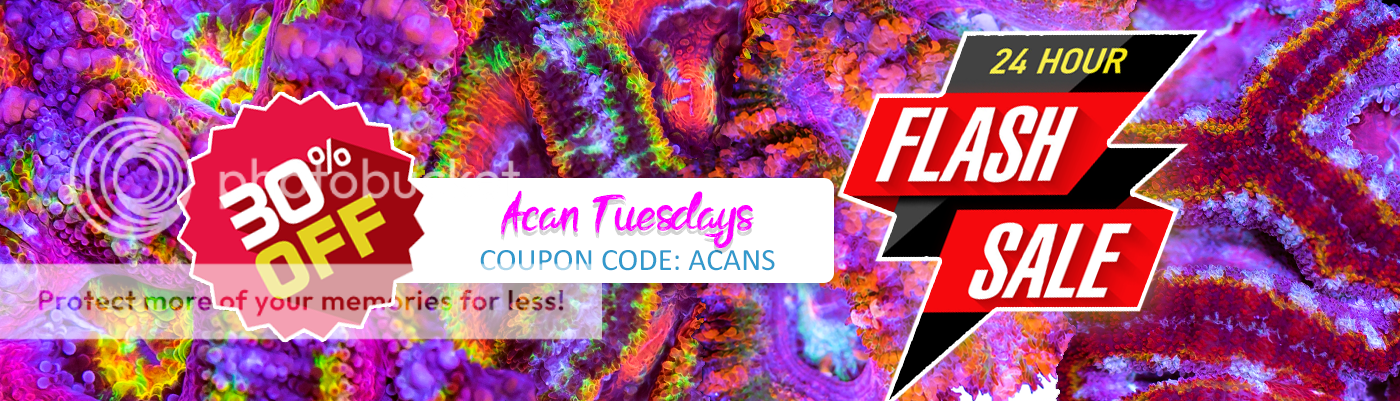 Web-Acan-Tues_zpswnt3hoys.png