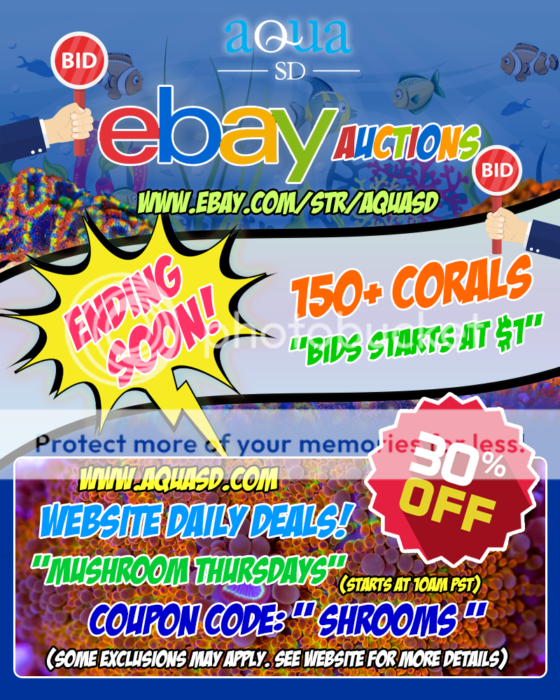 ebay-09-12-19_zpsimremxxf.png