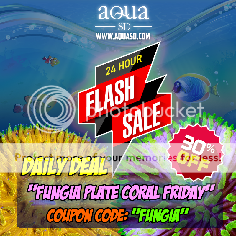 Daily-Fungia-Friday_zpsbkmhmajj.png