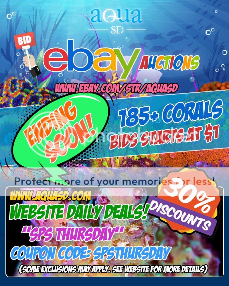 Ebay-05-22-19_zps3rlkqg9x.png