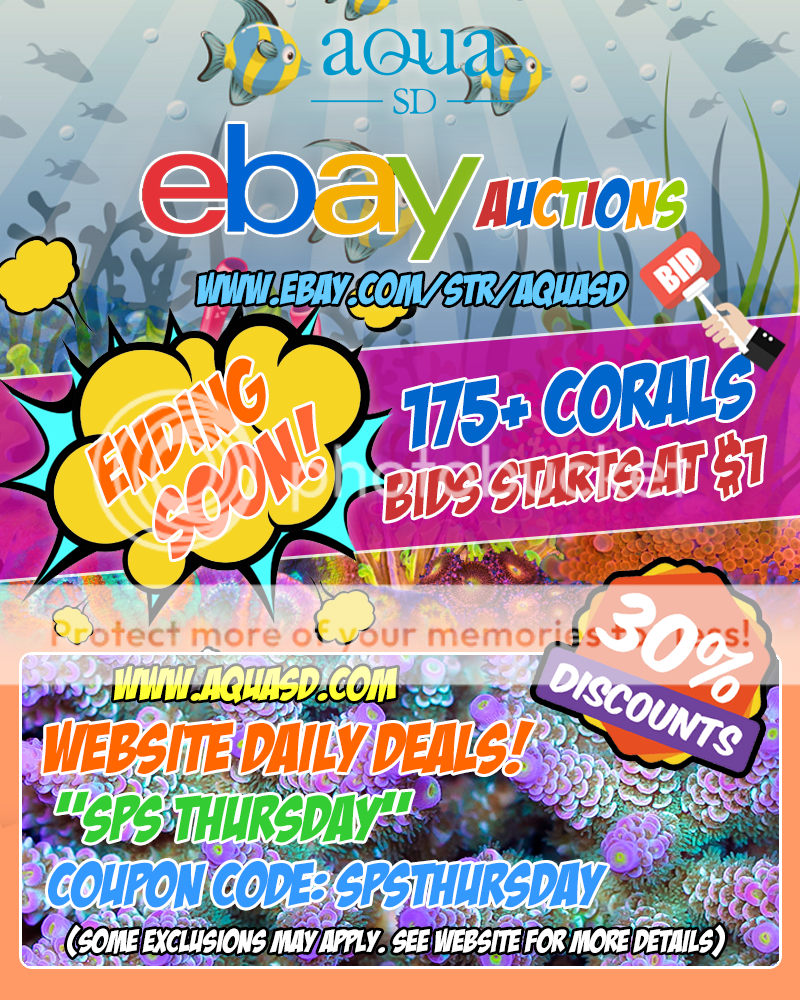 Ebay-06-13-19_zpsbu7vuwmr.png