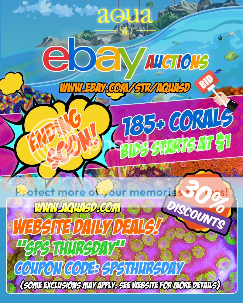 Ebay-06-20-19_zpsre7sdcxn.png
