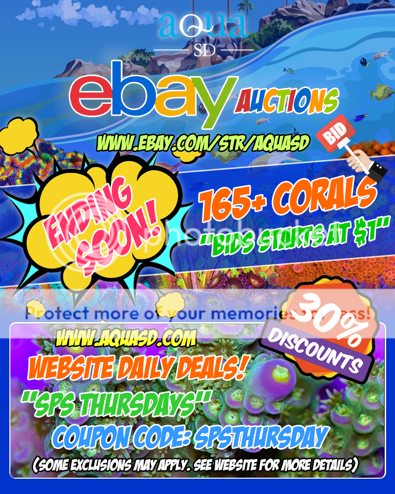 Ebay-07-17-19_zpsmhmkf9xw.png
