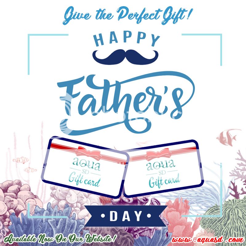 FathersDayGiftCard-Ad_zpsf2p7h7nb.png
