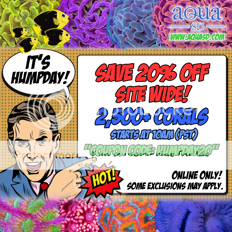 Humpday-Sale-06-05-19_zps6ntlnk1q.png