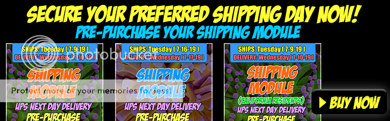 shipping-module-buy-now_zpssykv6vu3.png