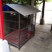 Anjing Videos Photobucket